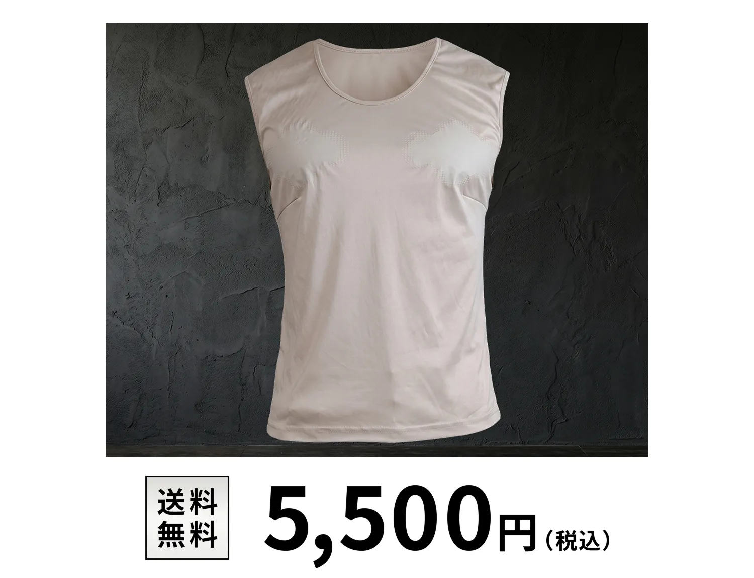 送料無料　5,500円（税込）